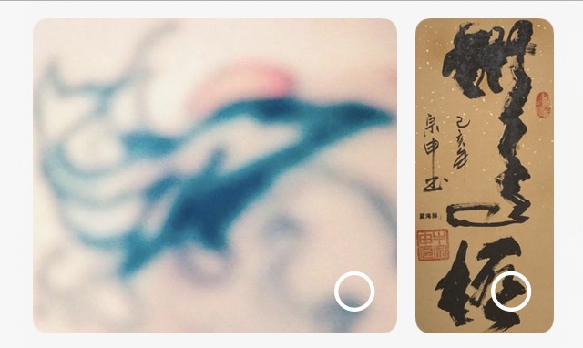 藍(lán)海豚 無極